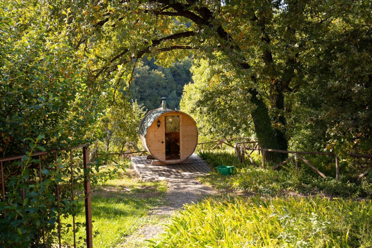 Cuprena Villa Арецо Екстериор снимка